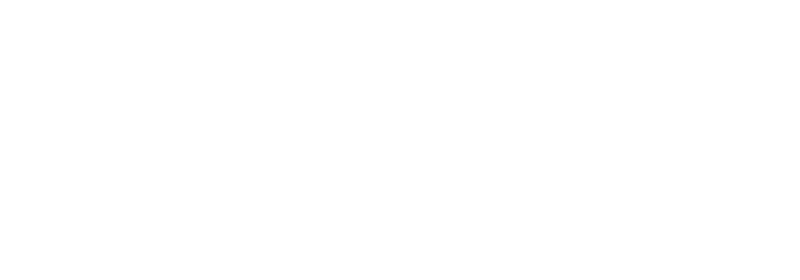 briogeo logo